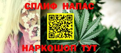винт Будённовск