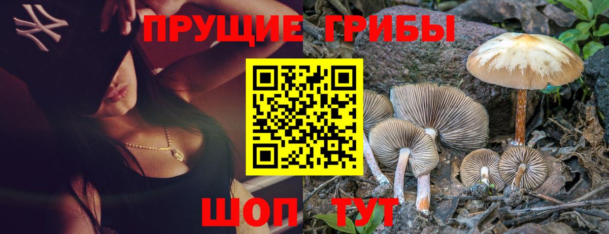 Щёкино  Псилоцибиновые грибы мухоморы  Вход с VPN  Псилоцибиновые грибы MAGIC MUSHROOMS 
